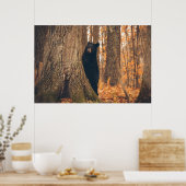 Schwarzer Bär Stehend von einem Baum Poster (Küche)