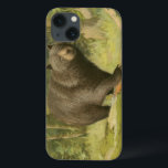 Schwarzer Bär Stepping auf einem Baumstamm Case-Mate iPhone Hülle<br><div class="desc">Dieser Kunstdruck von Oliver Kemp illustriert einen braunen Bären,  der auf einen gefallenen Baum in einem Wald tritt. Die pastellgrünen Farben beruhigen das Auge und schaffen im Frühling ein angenehmes Gefühl der erwachenden Natur. Eine großartige Ergänzung zu jeder rustikalen Wohngestaltung!</div>