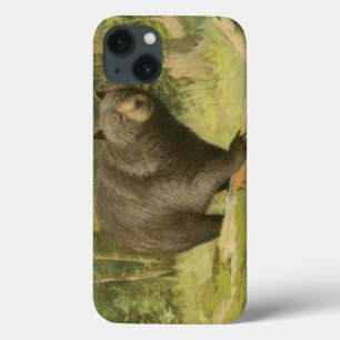 Schwarzer Bär Stepping auf einem Baumstamm Case-Mate iPhone Hülle