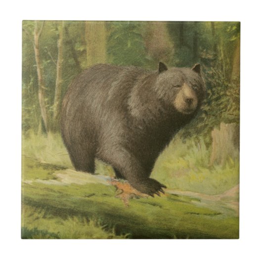 Schwarzer Bär Stepping auf einem Baumstamm Fliese (Vorderseite)