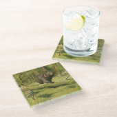 Schwarzer Bär Stepping auf einem Baumstamm Glasuntersetzer (Schrägansicht)