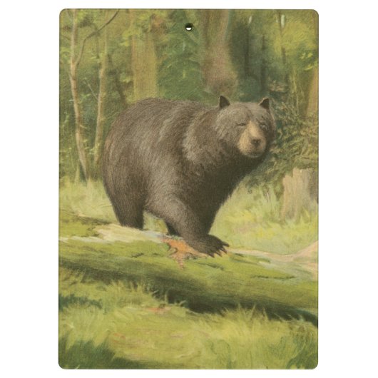 Schwarzer Bär Stepping auf einem Baumstamm Klemmbrett (Rückseite)