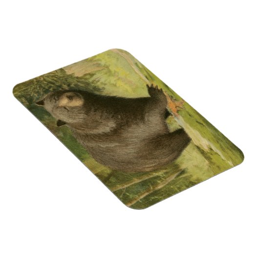 Schwarzer Bär Stepping auf einem Baumstamm Magnet (Rechte Seite)