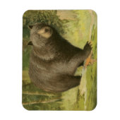 Schwarzer Bär Stepping auf einem Baumstamm Magnet (Vertikal)