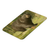 Schwarzer Bär Stepping auf einem Baumstamm Magnet (Linke Seite)