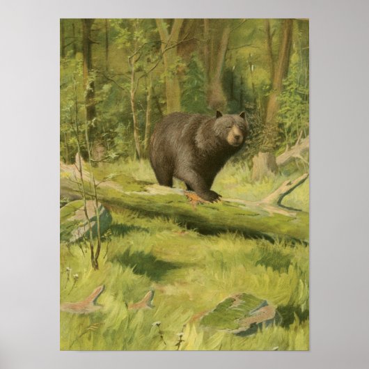 Schwarzer Bär Stepping auf einem Baumstamm Poster (Vorne)