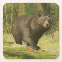 Schwarzer Bär Stepping auf einem Baumstamm