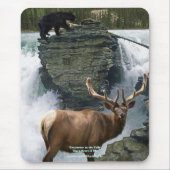 Schwarzer Bär und Elk Wildlife Supporter Mousepad (Vorne)