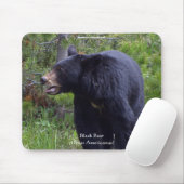 Schwarzer Bär und Pine Forest Wildlife Mousepad (Mit Mouse)
