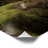 Schwarzer Bär und Totem Pole Poster (Ecke)