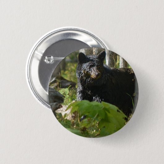 Schwarzer Bär Verstecken im Wald Foto Wildnis Button (Vorne & Hinten)