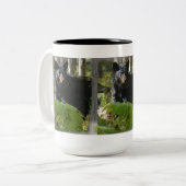 Schwarzer Bär Verstecken im Wald Foto Wildnis Zweifarbige Tasse (Vorderseite Links)