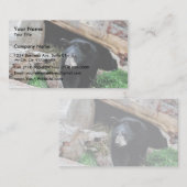 Schwarzer Bär Visitenkarte (Vorne/Hinten)