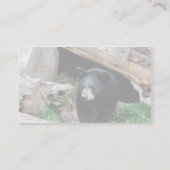 Schwarzer Bär Visitenkarte (Rückseite)