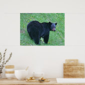 Schwarzer Bär Weiden auf Grüngras Wildlife Poster (Küche)