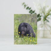 Schwarzer Bär Wildlife Postkarte (Stehend Vorderseite)