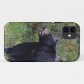 Schwarzer Bär Wildtierbärenliebhaber Case-Mate iPhone Hülle (Rückseite (Horizontal))