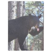 Schwarzer Bär Zwischenablage Klemmbrett (Rückseite)