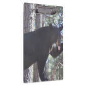 Schwarzer Bär Zwischenablage Klemmbrett (Rechts)