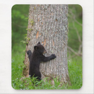 Schwarzer Bärenjunge Great Smoky Mountains Mousepad