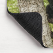 Schwarzer Bärenjunge im Baum Mousepad (Ecke)