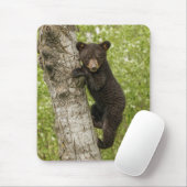 Schwarzer Bärenjunge im Baum Mousepad (Mit Mouse)