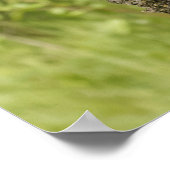 Schwarzer Bärenjunge im Baum Poster (Ecke)