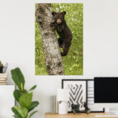 Schwarzer Bärenjunge im Baum Poster (Heimbüro)