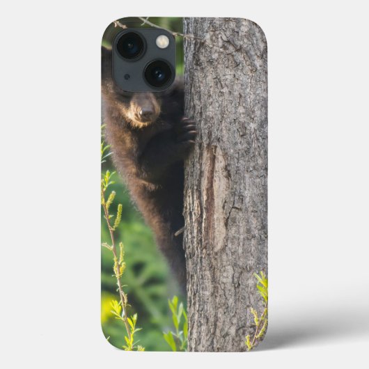 Schwarzer Bärenjunge im Frühling Case-Mate iPhone Hülle (Rückseite)