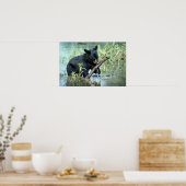 Schwarzer Bärenkub in der Sumpflandschaft Poster (Küche)