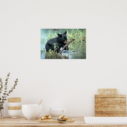 Schwarzer Bärenkub in der Sumpflandschaft Poster (Küche)