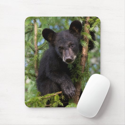 Schwarzer Bärenkub spielt in Bäumen Mousepad (Mit Mouse)