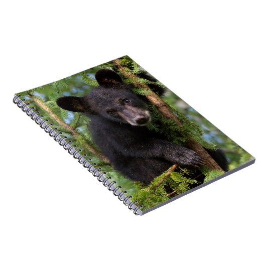 Schwarzer Bärenkub spielt in Bäumen Notizblock (Rechte Seite)