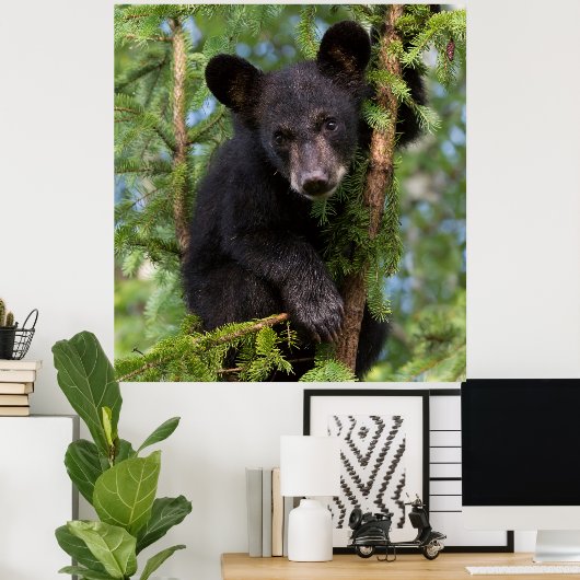 Schwarzer Bärenkub spielt in Bäumen Poster (Heimbüro)