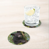 Schwarzer Bärenkub spielt in Bäumen Runder Pappuntersetzer (Vor Ort)