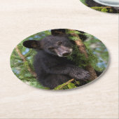 Schwarzer Bärenkub spielt in Bäumen Runder Pappuntersetzer (Angewinkelt)