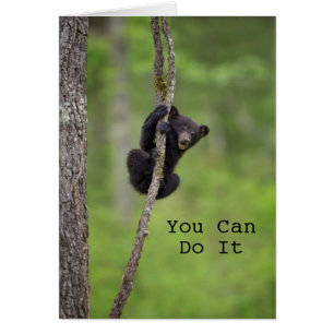 Schwarzer Bärenkuchen, Tennessee