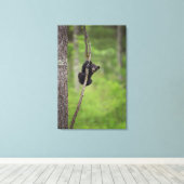 Schwarzer Bärenkuchen, Tennessee Leinwanddruck (Insitu (Holzboden))