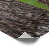 Schwarzer Bärenkuchen, Tennessee Poster (Ecke)