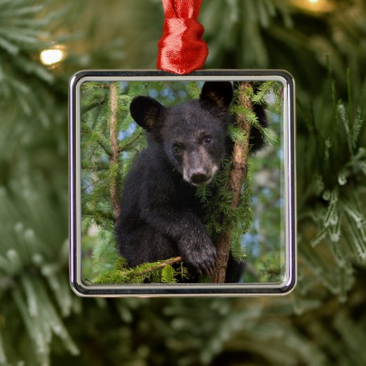 Schwarzer Bärenkuppel in Bäumen Ornament Aus Metall (Baum)