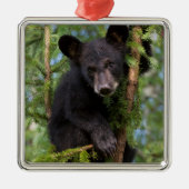 Schwarzer Bärenkuppel in Bäumen Ornament Aus Metall (Vorne)