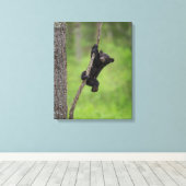 Schwarzer Bärenkuppel spielt auf Baumlippe Leinwanddruck (Insitu (Holzboden))