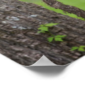 Schwarzer Bärenkuppel spielt auf Baumlippe Poster (Ecke)