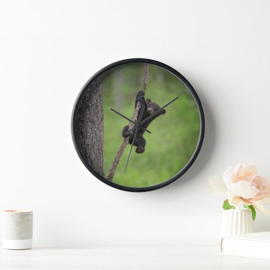 Schwarzer Bärenkuppel spielt auf Baumlippe Uhr (Zuhause)