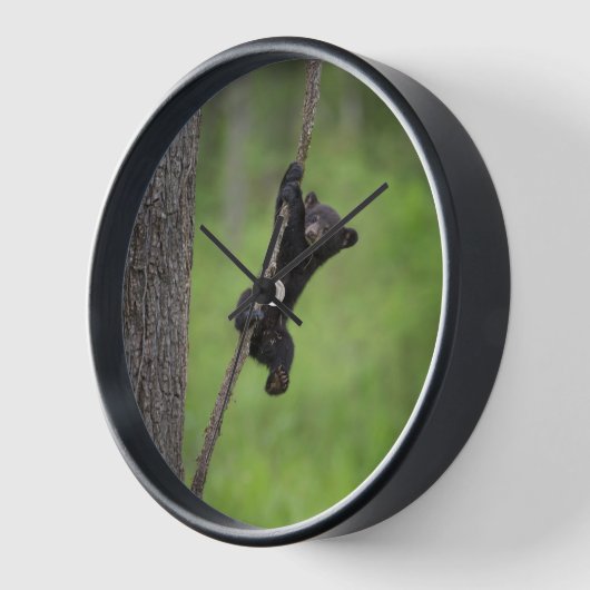 Schwarzer Bärenkuppel spielt auf Baumlippe Uhr (Winkel)