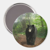 SCHWARZER BÄRENwald - Naturmagnet Magnet (Vorderseite/Rückseite)