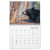 Schwarzer Bärenwall-Kalender Kalender (Jan 2027)