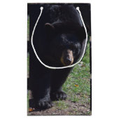 Schwarzer Bärn-Geschenk-Tasche Kleine Geschenktüte (Rückseite)