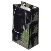 Schwarzer Bärn-Geschenk-Tasche Kleine Geschenktüte (Rückseite Schrägansicht)