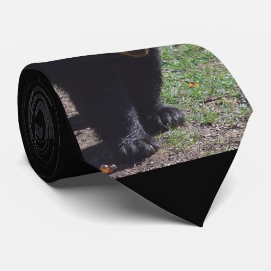 Schwarzer Bärn-Krawatte Krawatte (Gerollt)